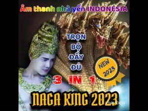 ÂM THANH NHÀ YẾN - TRỌN BỘ NAGA KING - Tăng đàn tăng tổ nhanh chóng.
