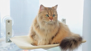Cat Window Wammock Cordless Cat Bed Sleeping Cat Hammock Strong Suction Cat Window Bed rumah kucing (easy to install)