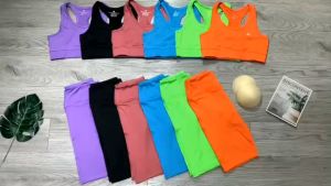 Đồ tập gym nữ set bộ thể thao nữ áo bra kèm mút quần đùi ngố Bin Sports BL028