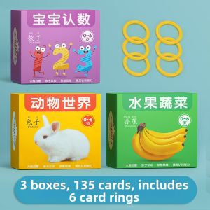 STARRY ARK | Early Education Recognition Learning Cards