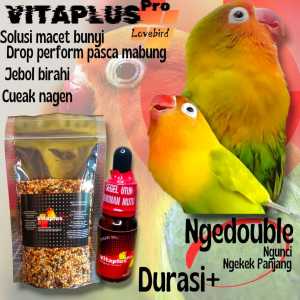 MILET DAN PENGGACOR LOVEBIRD