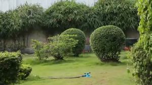360 Degrees Automatic Rotating Watering Sprinkler Garden Lawn Sprinkler Garden Irrigation Tools