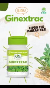 Ginextract HNI HPAI || Obat Herbal Melancarkan Buang Air Kecil & Batu Ginjal