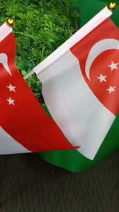【SG Stock】14*21cm Singapore Waving Hand National flag NDP Plastic Cloth National Day Party Celebration Wave Mini Flag