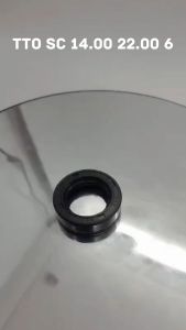 Seal Sc 14 22 6 TTO INB Original TTO