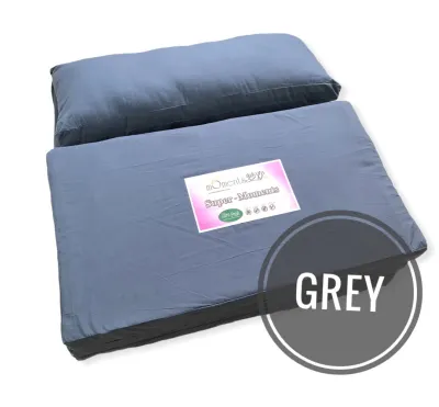 [1-2 Day Delivery] Foldable mattress with Pillow