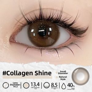 Gray Fairy Camellia Rose Monthly Disposable Contact Lenses