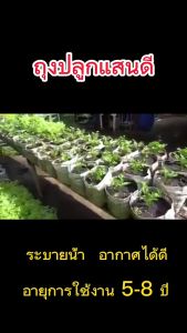 ถุงเพาะปลูก ถุงปลูก 2 ถุงปลูกแสนดี 2 ถุงเพาะชำ 2 ถุงปลูกผัก ระบายน้ำดี รากเดินไว 1 กิโล