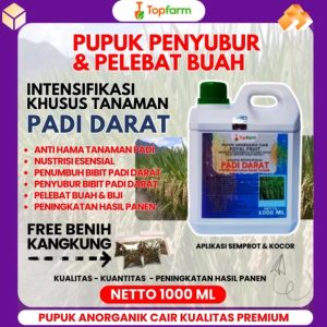 Pupuk Padi Darat / Pupuk Padi Pelebat Buah / Pupuk Padi Semprot Penyubur / Pupuk Padi Cair / Pupuk Khusus Padi Darat / Obat Padi Biar Buah Lebat / Obat Padi Daun Menguning