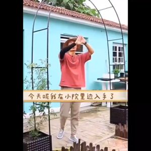 How to Design a Stunning Clematis Garden Arch & Climbing Pergola