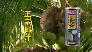 现货MY 椰树牌-椰汁 245毫升 YESHUPAI-Coconut Juice 245ML