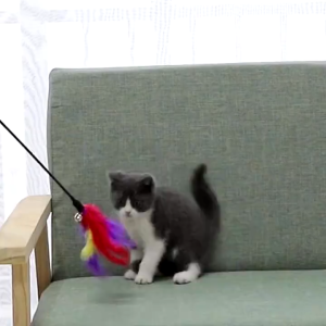 PST Tongkat Lonceng Bulu Mainan Kucing Bulu Ayam Mainan Anabul Cat Toys Mainan Berbulu Hewan Peliharaan