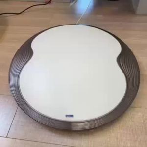 LED Acrylic Ceiling Lamp Round TRI-COLOR
