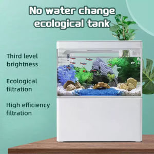 USB-Powered Mini Fish Tank for Living Room Small Landscape Ecological Tank Household Aquarium with Mini LED Lighting