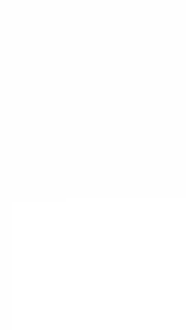 Essen PERTAMAX TURBO + Murni Biang Premium Umpan Pancing Ikan Rame dan Indukan Big Size 60ml