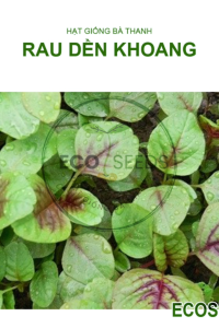 [EcoSeeds] Combo 2 Gói Hạt Giống Rau Dền Khoang - Phát Triển Mạnh Kháng Sâu Bệnh - Gói 20g