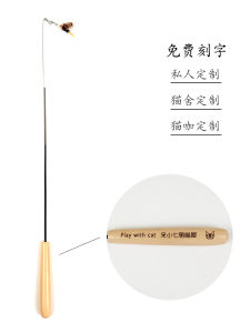 Cat Toy Teaser Stick Engraved Cfa Competition Photography Enhanced Realistic Small Flying Insect Replacement Head Bell Spring