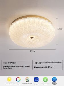 Aiskdan | Elegant and Modern Ceiling Light for Bedroom 2025 New Model