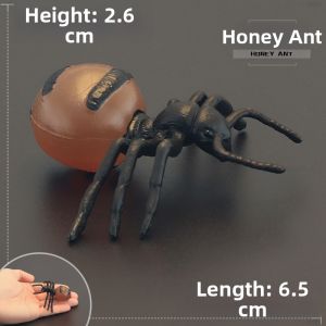 MENGSILE | Realistic Storage Ant Model Insect Toy