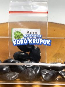 Benih Koro Krupuk Unggulan Berkualitas biji bibit repack roay sayur kerupuk hijau tanaman berbiji pot hydroponik hidroponik