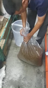 Cat Food Round Container 10kg/Bekas Makanan Kucing 10kg