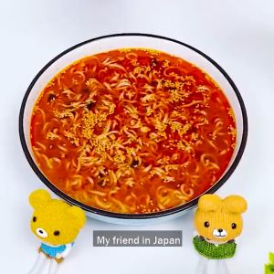 SG SALES 12Pcs Food Grade Oil Absorption Paper Food Soup Oil Disposable absorption Grease Food Pad Soup Oil Filter