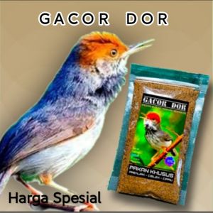 gacor dor pakan spesial burung prenjak harga murah