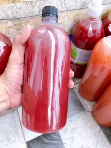 Vi Sinh Quang Hợp Psb MAK Cho Hồ Cá Cảnh Hồ Thủy Sinh Xử Lý Chất Thải Cá Và Làm Trong Nước
