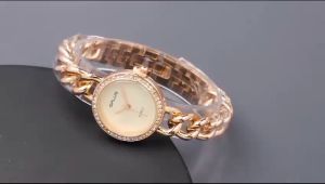 Box Exclusive Jam Tangan GPlus Kepang VA-871SPR / Jam Tangan Fashion Wanita Tali Rantai Diameter 2 cm