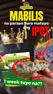 Odor & Fly Powder | Safe & Natural Odor Control for Poultry & Farms | Dries Wet Litter – 1KG