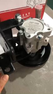 Bơm trợ lực 4100(ZYB0708R/244C) BULY SORL