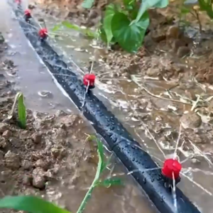 100 ชิ้น หัวน้ำหยด หัวน้ำหยดปรับระดับน้ำได้หลายระดับ ถุงปรับสวนชลประทานสเปรย์ไมโครไหลหยดน้ำ 1/4 นิ้วปรับไมโครไหล dripper หยดหัวน้ำหยด Garden ละอองทำให้ชื้นไมโครโฟลว์ยางหยดน้ำหัว ThaiJOY