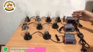 Paket Siap Pakai STC1000 Kapasitas 100-120 Butir Telur