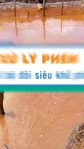 Bộ đôi khử phèn ao nuôi tôm công nghiệp vuông nuôi tôm quảng canh ao nuôi cá