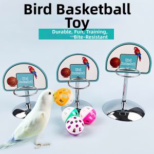 Hadassah | Bird Play Training Basketball Hoop
