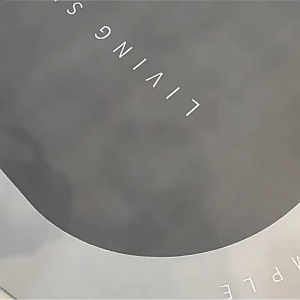 Thảm lót chén ăn bằng bùn tảo cát hoạt hình dễ thương cho thú cưng - Tiệm Mèo Moa