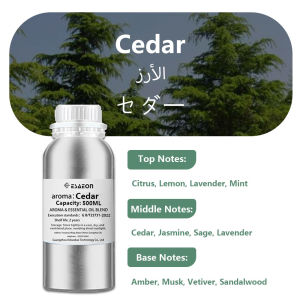 ESAEON Hotel Scented Machine Essential Oil - For All Waterless Aromatherapy Machines Miss Coco/Ritz-Carlton - 500ML(16.9 fl.oz)
