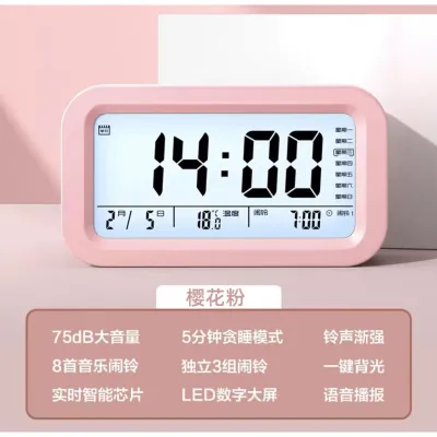 Extra Loud Blind Friendly Voice Timekeeping Night Light Alarm Clock