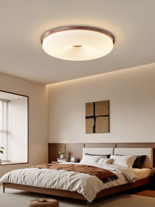 DGY | Retro Creative French Style Ceiling Light