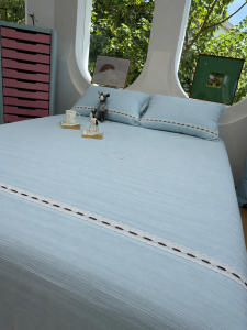 MR.DANYE | Pink Simple Style Thin Duvet