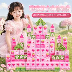 ALLofmini | Creative Intelligent Magnetic Blocks Toy