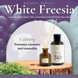 Premium aromatic wardrobe freshener