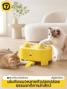 7o | Interactive Teasing Fun Mouse Game Cat Toy