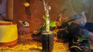 กรองฟองน้ำตู้ปลา ยี่ห้อ XY-2835/XY-2836/XY-2810/XY-2811/XY-2813/XY-180/XY-380 filter กรองฟ องน้ำ สำหรับกรองน้ำในตู้ปลาและอ่างเลี้ยงปลา ทำให้น้ำใสสะอาด