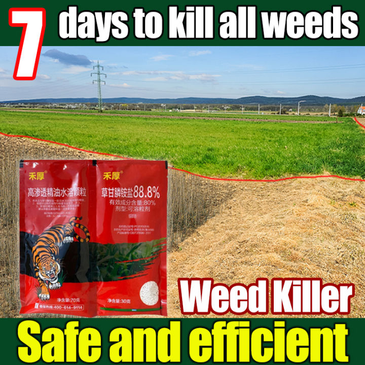 7 Days Weeding🌿bd Herbicide For Grass And Weeds Weed And Grass Killer