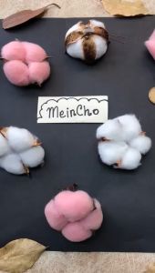 Grosir Bunga Kapas Asli Cotton Flower Bunga Kapuk Bunga Kering Flower Bahan Mahar Rustik Rustic