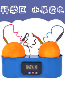 Đồng Hồ Phát Điện Bằng Trái Cây Đồ Chơi Giáo Dục Cho Trẻ Mẫu Giáo Đồ Chơi Thí Nghiệm Khoa Học Cho Trẻ Mẫu Giáo Và Mẫu Giáo