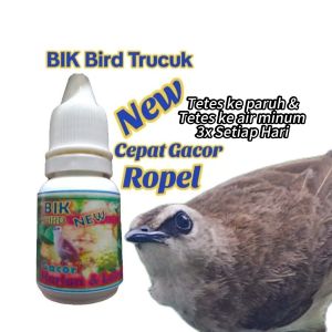 BIK Bird Trucuk. Vit Alami Burung Trucukan. Penggacor Burung Trucukan.
