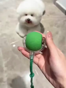 Automatic Moving Dog Ball & USB Rechargeable Cat Toy: A Comprehensive Guide