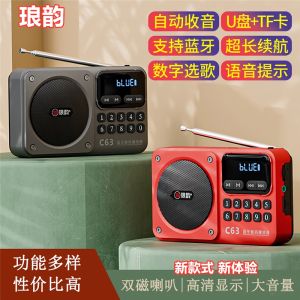 Langyun C63 Portable Multi-functional Radio Player with Card And USB Flash Drive for Elderly People Broadcast Theater Audio Player